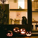 Chill Garden Loft Apartamento