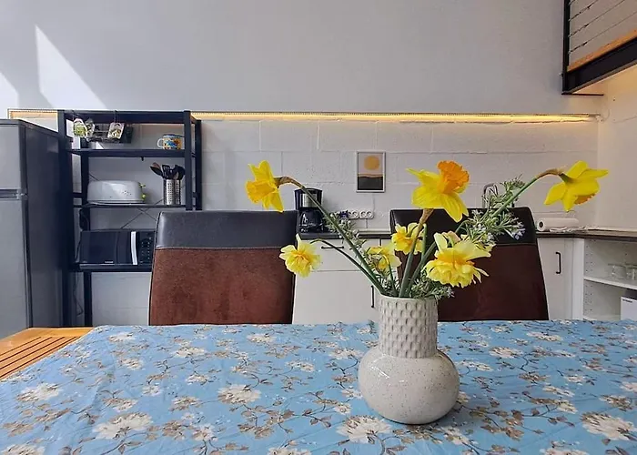 Chill Garden Loft Appartamento *