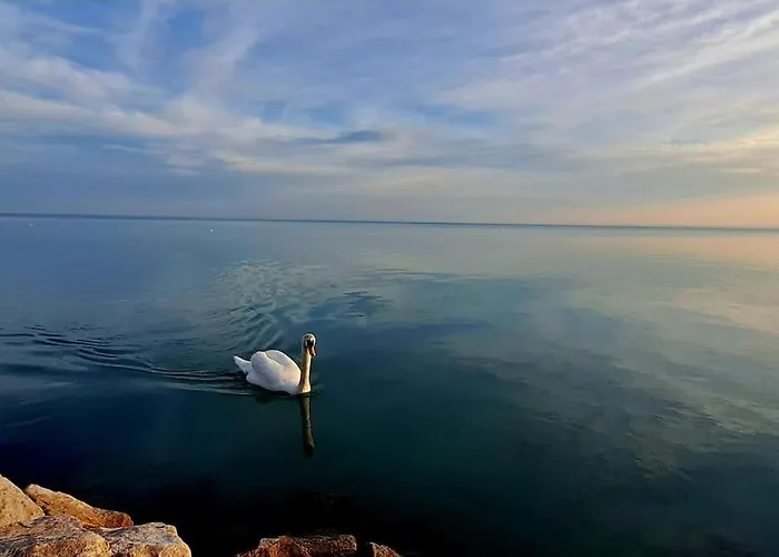 Appartement Chill Garden Loft *